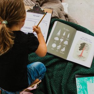 Explore the outdoors with this printable tree study worksheet
