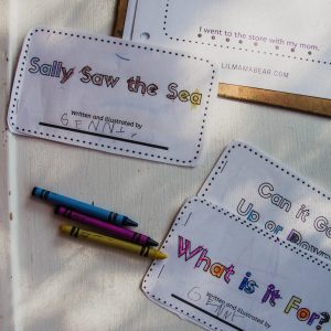 Learning new sight words "she" and "said" has never been so fun and easy! Even the youngest students will enjoy creating this alliteration flip book. Couple with Dr Seuss' "Fox in Sox" to teach the literary concept of alliteration.