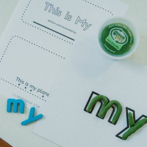 Teach sight words "this" and "my" with these easy-to-use flip books!