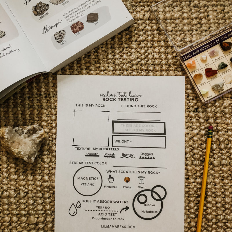 Science Lab Sheets Bundle | 10 Printables | How to Study the World ...
