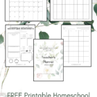 If you have been searching for a minimalist and easy-to-fill-out layout, this homeschool planning bundle is for you! Here you will find everything you need to get started on the road to homeschooling. From choosing homeschooling styles, to selecting the best-fitting curriculums, and finally to putting it all down on paper, you will be able to imagine your weeks with excitement and confidence.
