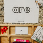 Give your young learners a comprehsnive understanxing of language from the beginning with these double-sided alphabet phonogram cards!