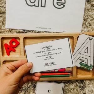 Give your young learners a comprehsnive understanxing of language from the beginning with these double-sided alphabet phonogram cards!