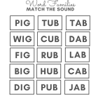 Fun, simple worksheets for helping students learn cvc words